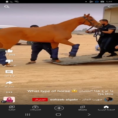 سوري مقيم بالاردن