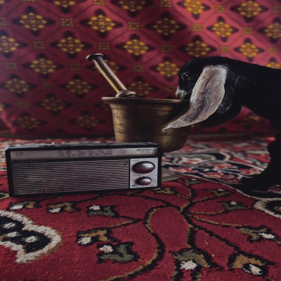 سعود